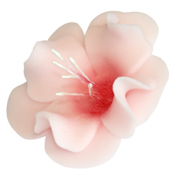 Kwiat cukrowy magnolia dekoracja tort różowy 1x